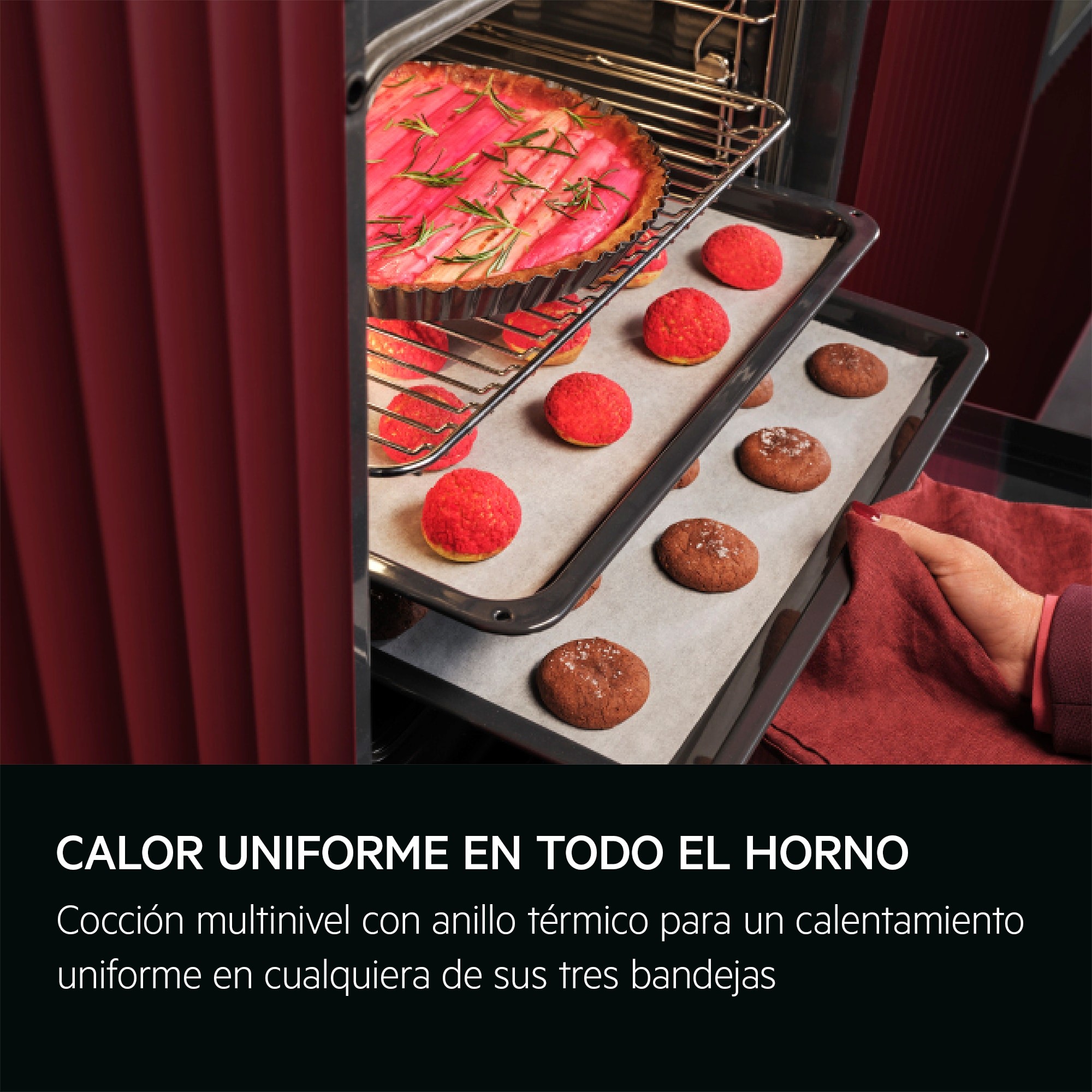 AEG Horno TU5AB21FSB Multifunción 72L Negro Inox 9 Funciones AquaClean Clase A+ - Imagen 2