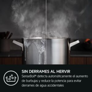 aeg-enc-vitro-ti631q10iz-induccion-3-fuegos-saphir-matt-16